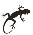 Silhouette image of a gecko