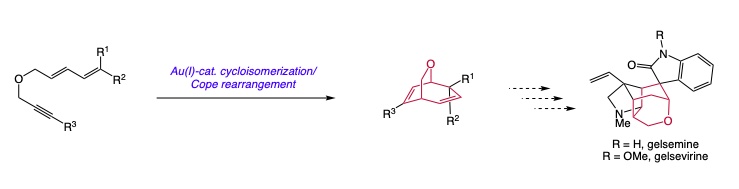 Illustration of Au(I)-catalyzed cycloisomerization/Cope rearrangement process