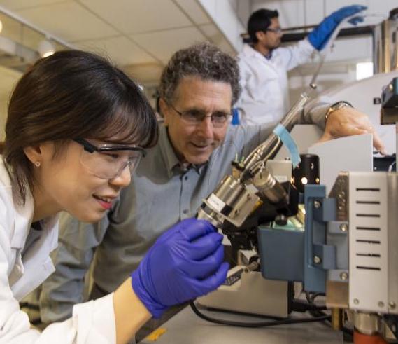 Professor examining test tube