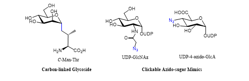 Carbon-linked Glycoside and Clickable Azido-sugar Mimics
