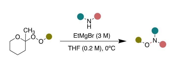 Diagram illustrating the synthesis of N,N,O-Trisubstituted Hydroxylamines (Hydroxalogs) 