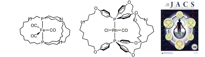 Diagram illustrating alkene metathesis followed by hydrogenation used to construct three-spoked cage molecules.