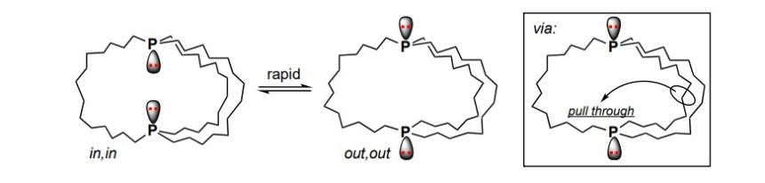 Illustration of complexes demetallated to yield dibridgehead diphosphines, which can exist as three stereoisomers (phosphorus lone pairs in/in, out/out, or in/out).