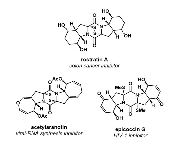 Diagrams of rostratin A (colon cancer inhibitor), acetylaranotin (viral-RNA synthesis inhibitor, and epicoccin G (HIV-1inhibitor)