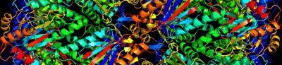 Enhanced image of protein analysis from mass spectrometer in the PAMS facility