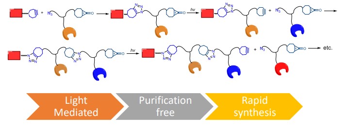 Graphic showing purification-free synthesis of two pentamers synthesis