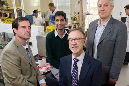 The Chemistry department's Sergiy Minko and Jason Rocklin, along with Suraj Sharma of the College of Family and Consumer Sciences, stand together in a lab.